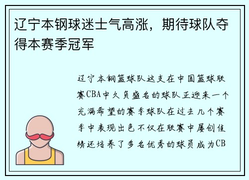 辽宁本钢球迷士气高涨，期待球队夺得本赛季冠军